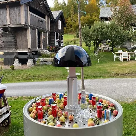 Apartment Hesla Farm Gol