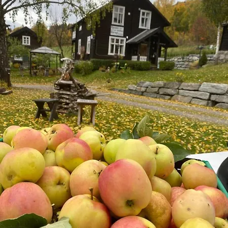 Hesla Farm Lägenhet *