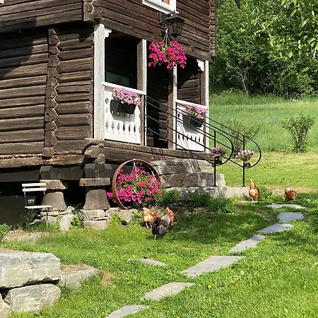 Apartment Hesla Farm Gol