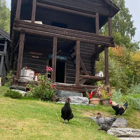 アパート Hesla Farm ゴール